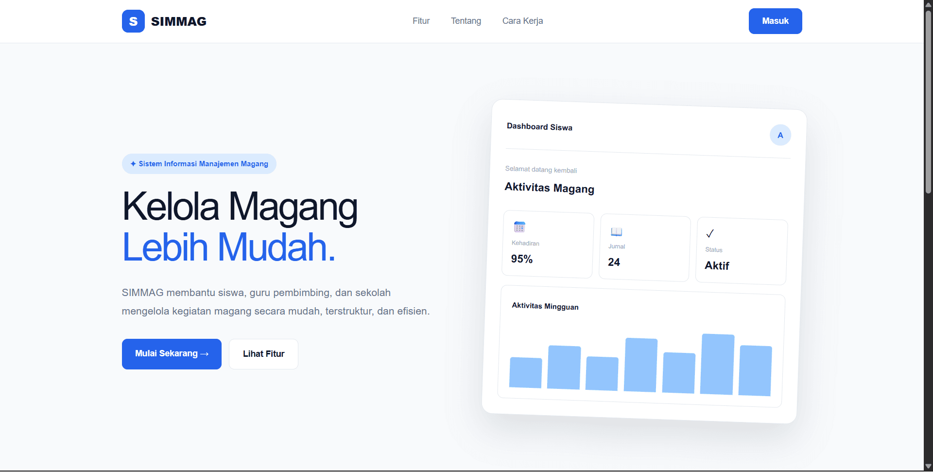 SIMMAG project preview